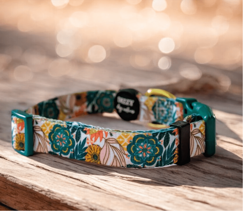 Dog Collar product image 1