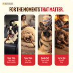 12 Inch Extra Thick Bully Sticks product image 6
