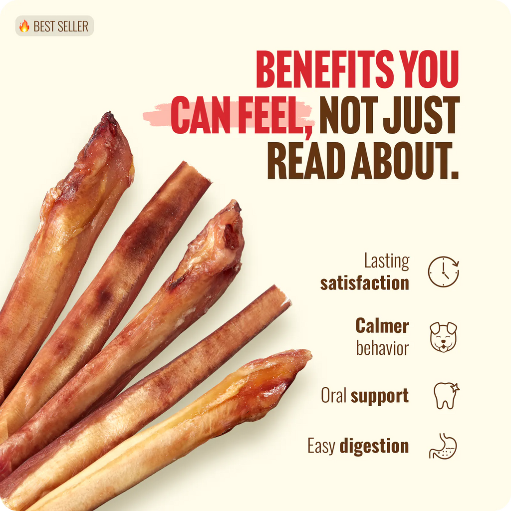 12 Inch Extra Thick Bully Sticks product image 7