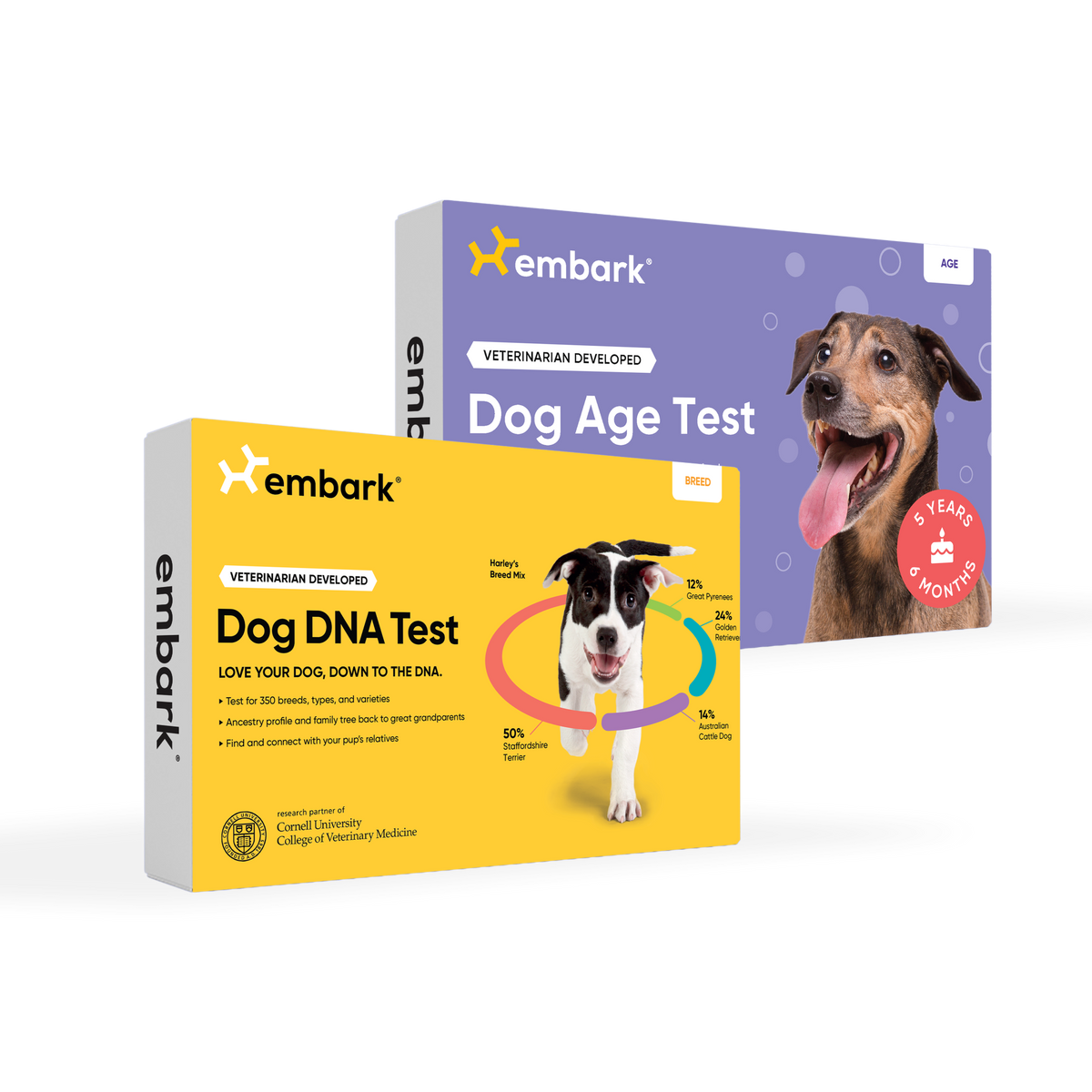Dog DNA Test Bundle product image 1