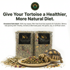 Tortoise Food product image 5