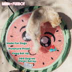 Funboy Splash Pad#Color_Watermelon