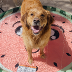 Funboy Splash Pad#Color_Watermelon