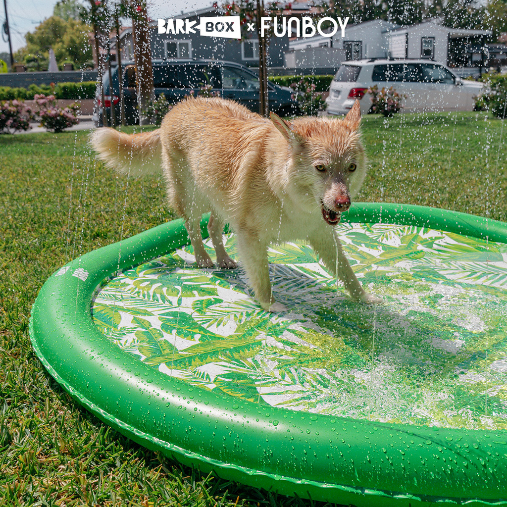 Funboy Splash Pad#Color_Palm