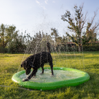 Funboy Splash Pad#Color_Palm