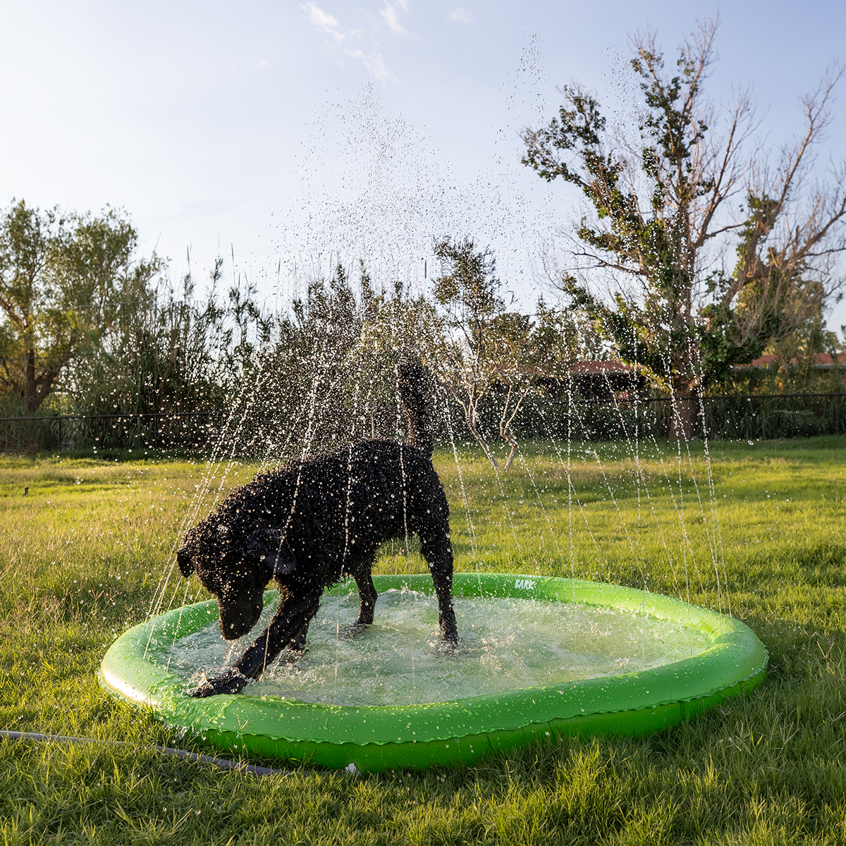 Funboy Splash Pad#Color_Palm