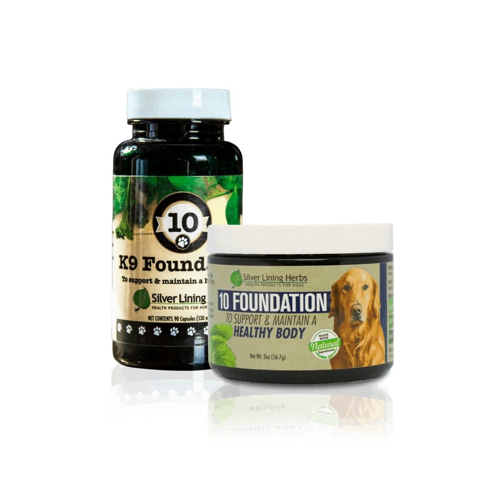 Daily Dog Wellness Supplement product image 1