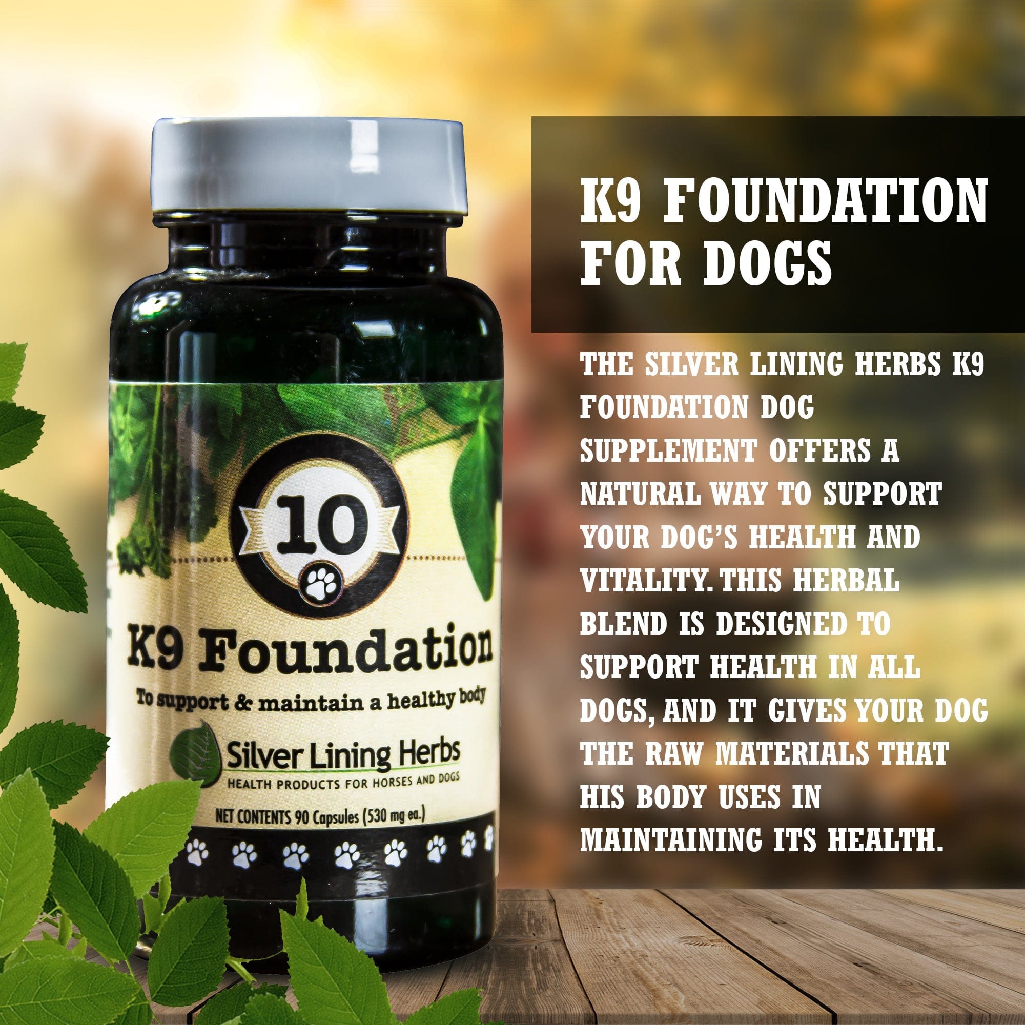 Daily Dog Wellness Supplement product image 3