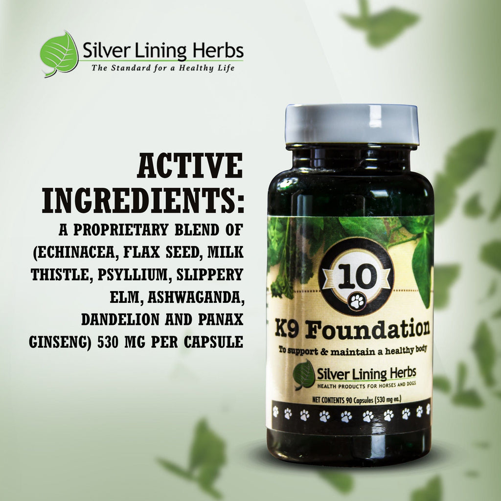 Daily Dog Wellness Supplement product image 5