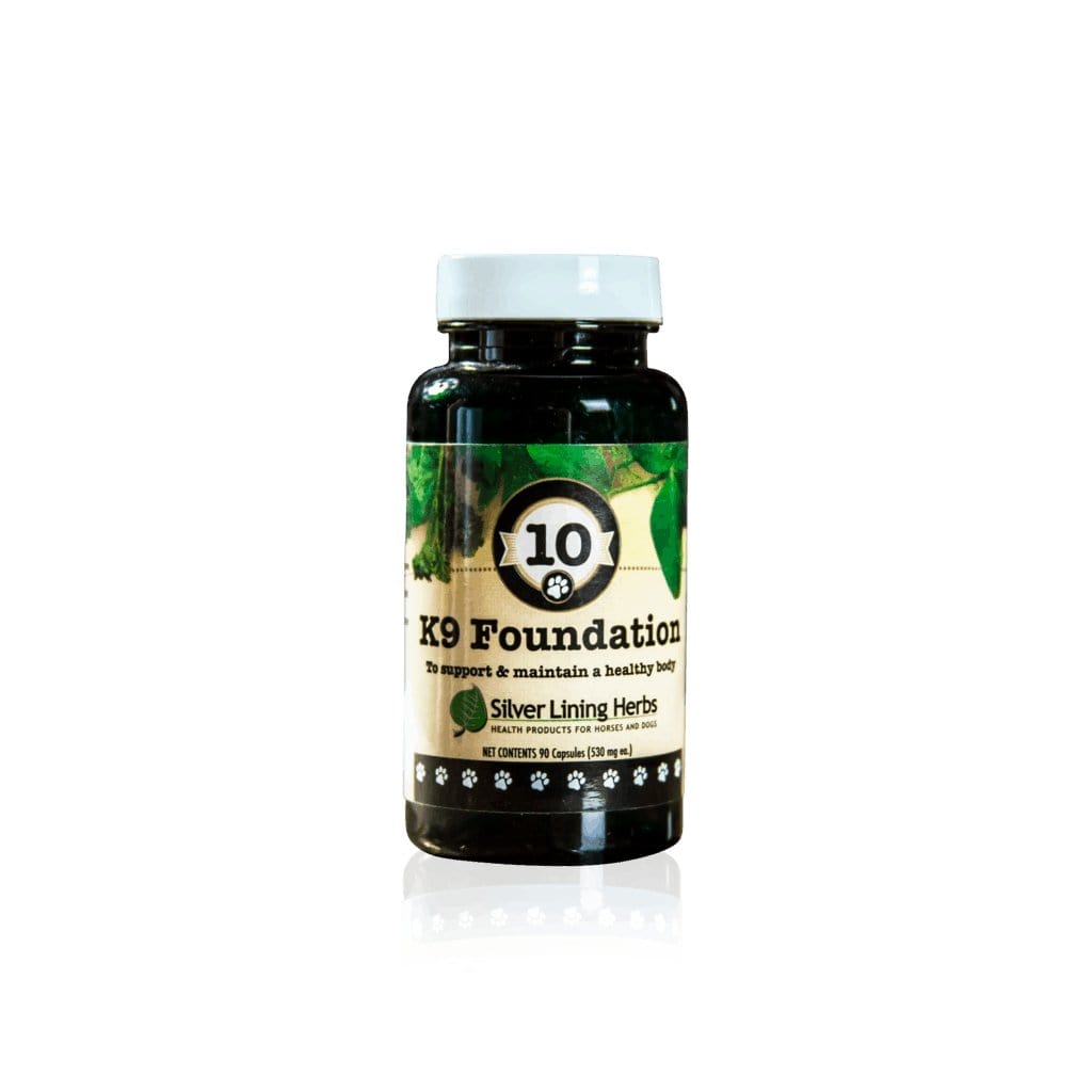 Daily Dog Wellness Supplement product image 7