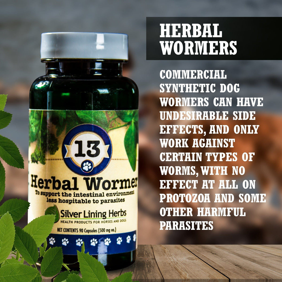 Dog Deworming Supplement product image 4