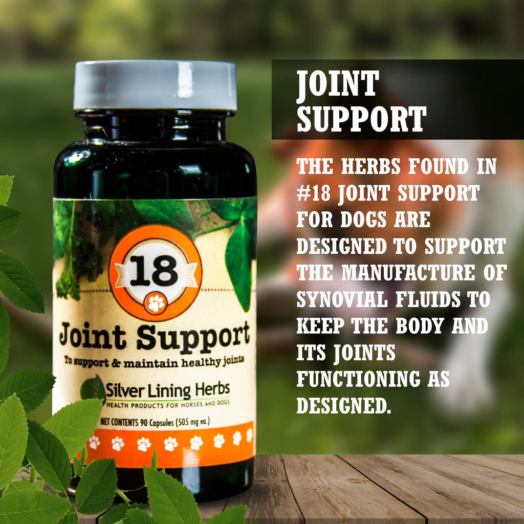 Dog Joint Supplement product image 2