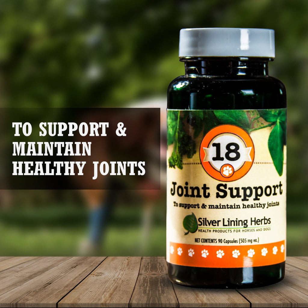 Dog Joint Supplement product image 3