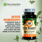 Dog Joint Supplement product image 4