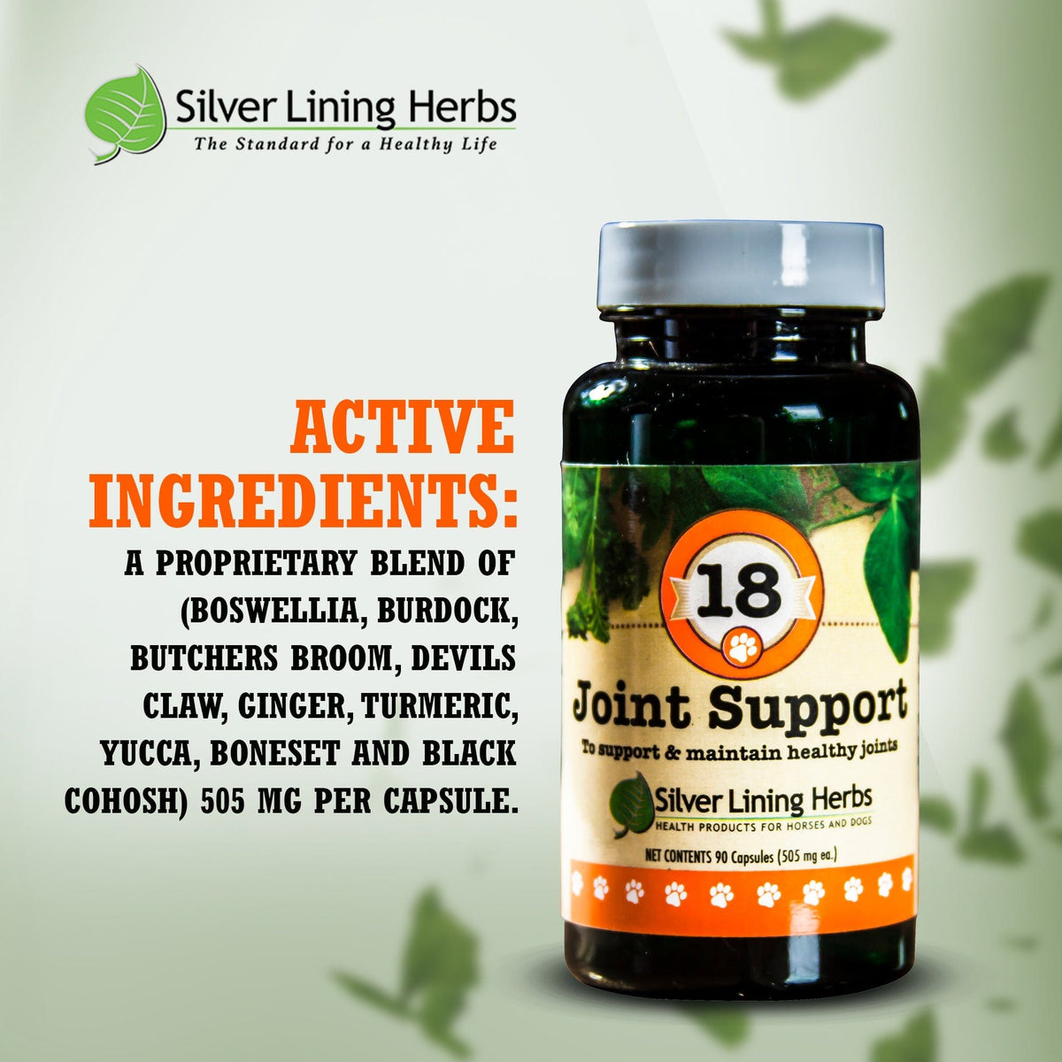 Dog Joint Supplement product image 4