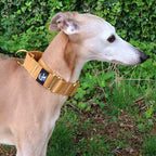 Martingale Dog Collar product image 15