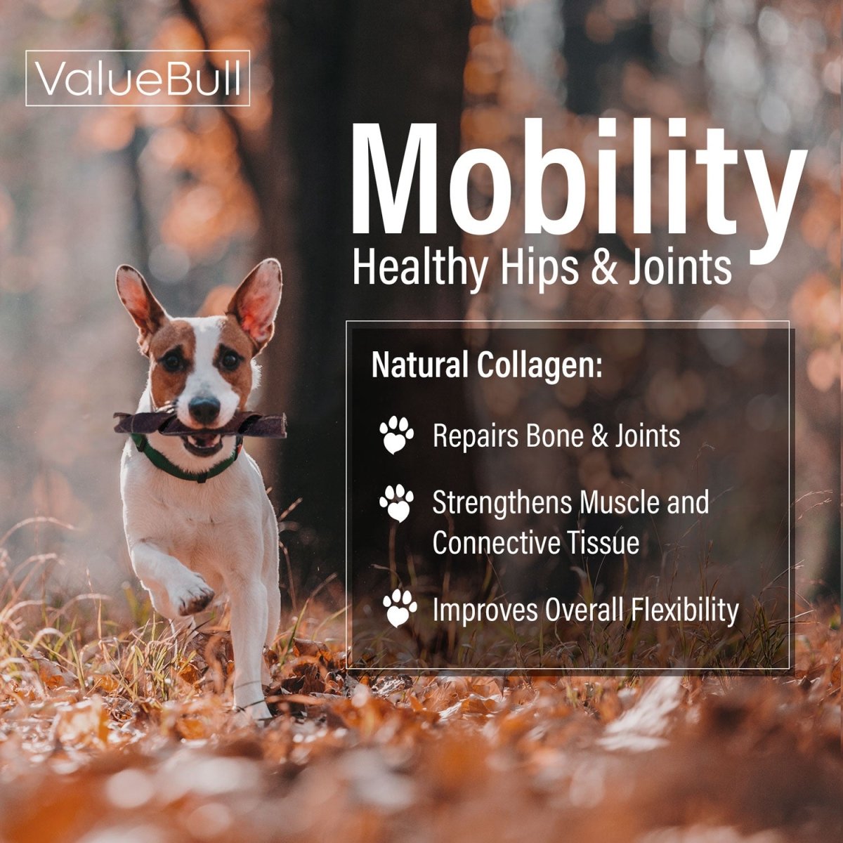 Collagen Dog Chews product image 3