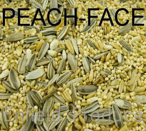 Bird Seed Mix product image 2