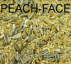 Bird Seed Mix product image 2