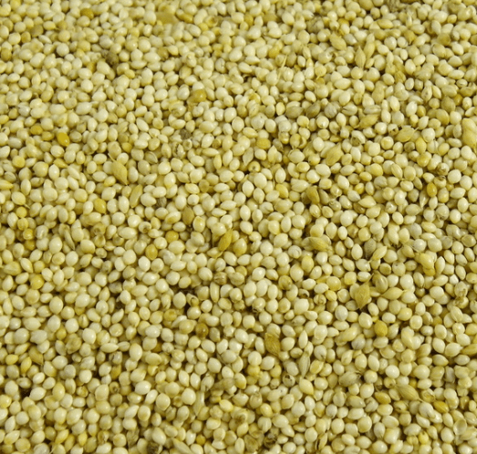 Bird Seed product image 1