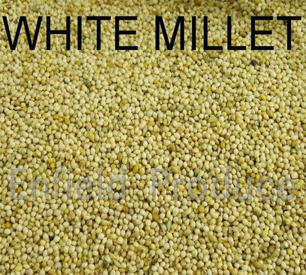 Bird Seed product image 2