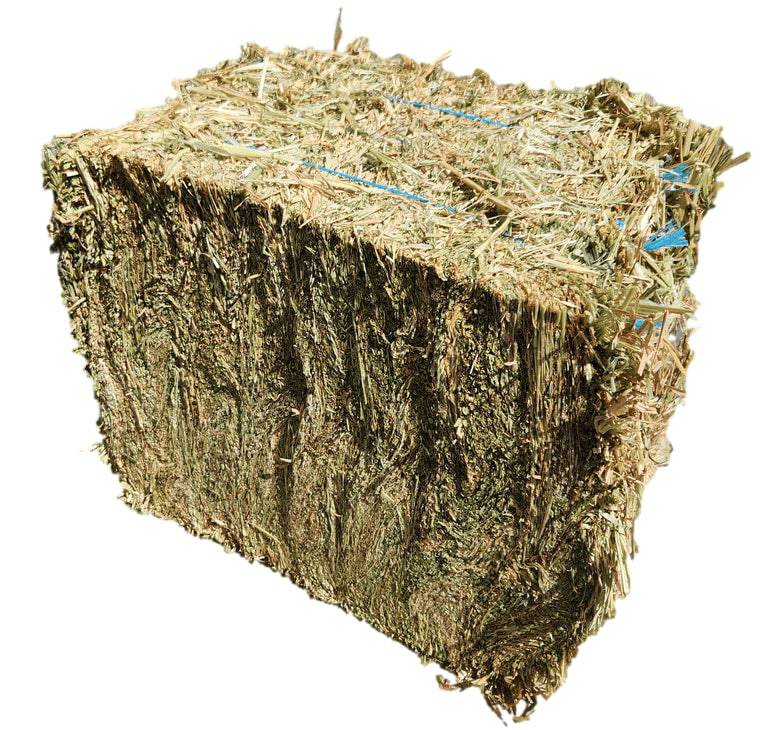 Compressed Oaten Hay Bale product image 1