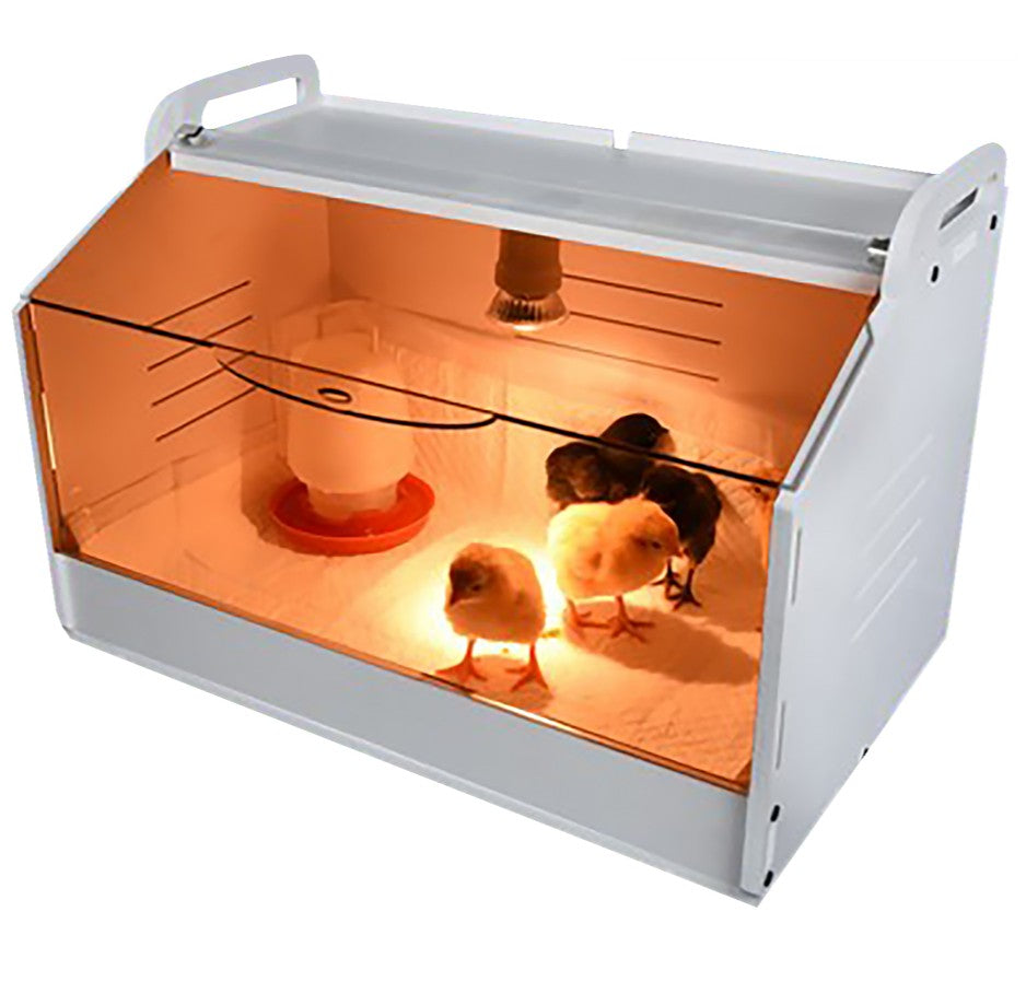 Chicken Brooder Kit product image 1