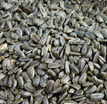 Black Sunflower Seed product image 1