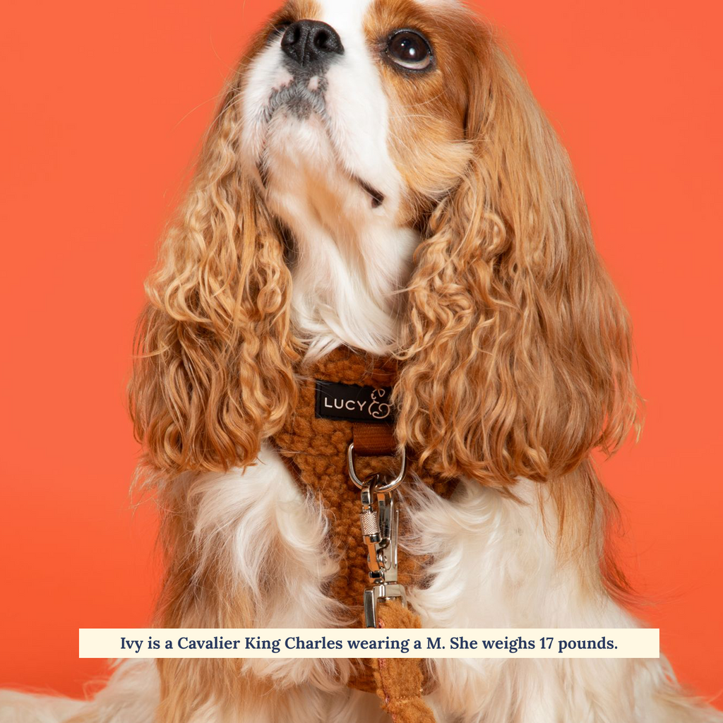 Teddy Fleece No-Pull Dog Harness product image 3