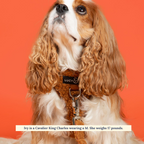 Teddy Fleece No-Pull Dog Harness product image 3