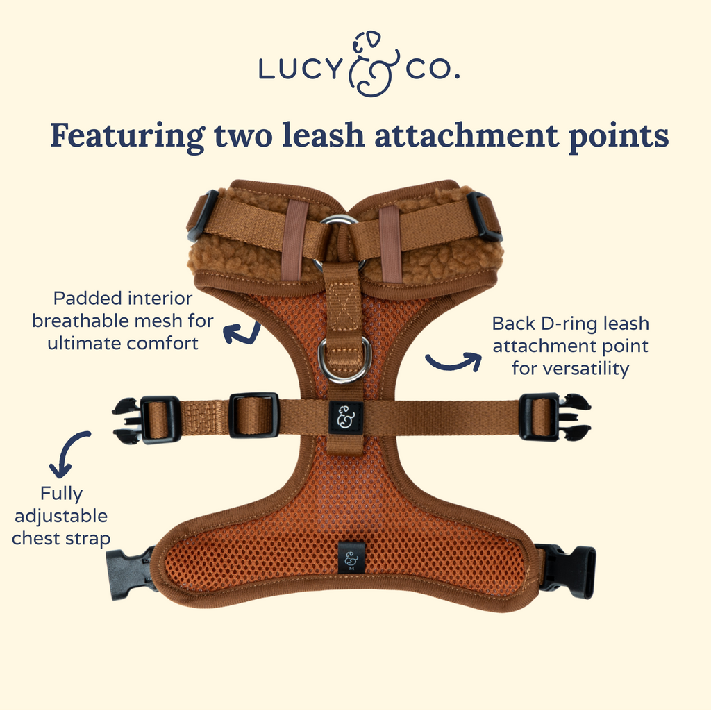 Teddy Fleece No-Pull Dog Harness product image 5