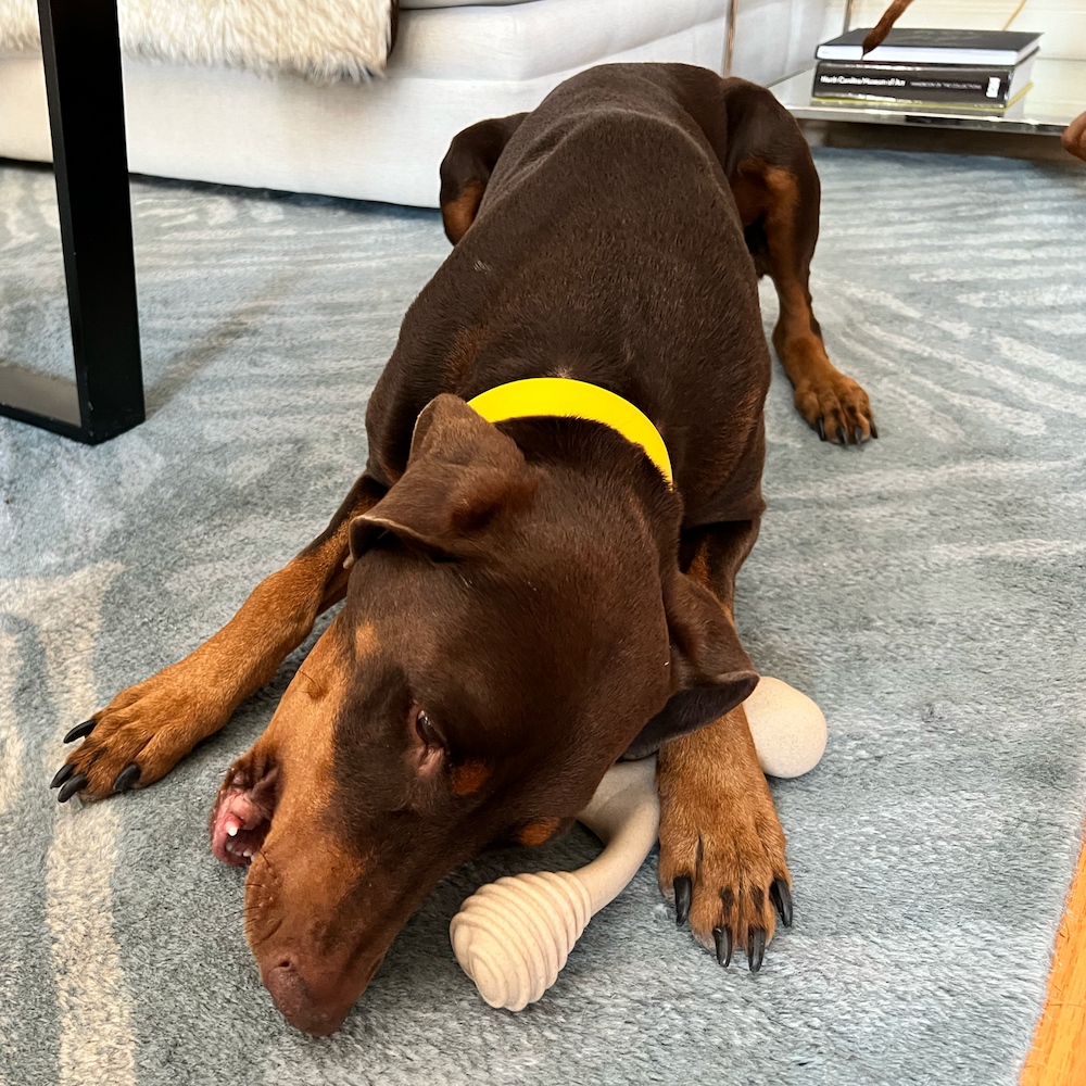 Dog Chew Toy product image 8