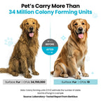 Seven-in-One Pet Grooming Vacuum Kit product image 7