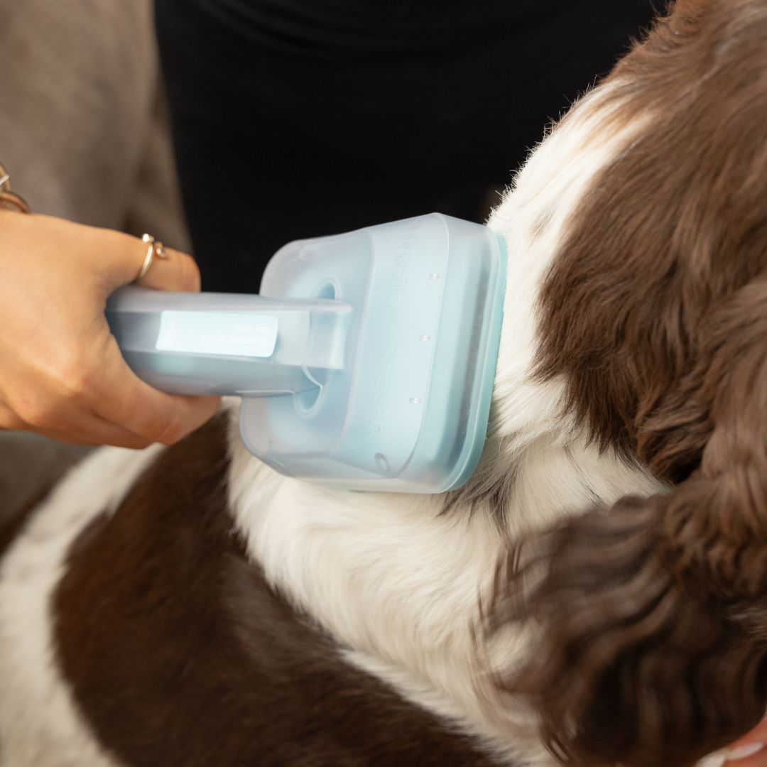 Seven-in-One Pet Grooming Vacuum Kit product image 11