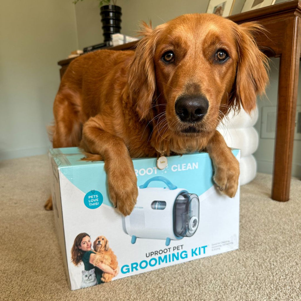 Seven-in-One Pet Grooming Vacuum Kit product image 13