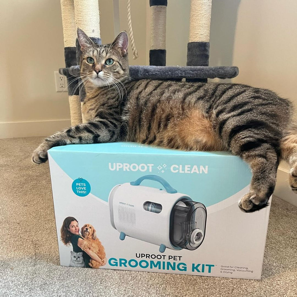 Seven-in-One Pet Grooming Vacuum Kit product image 14