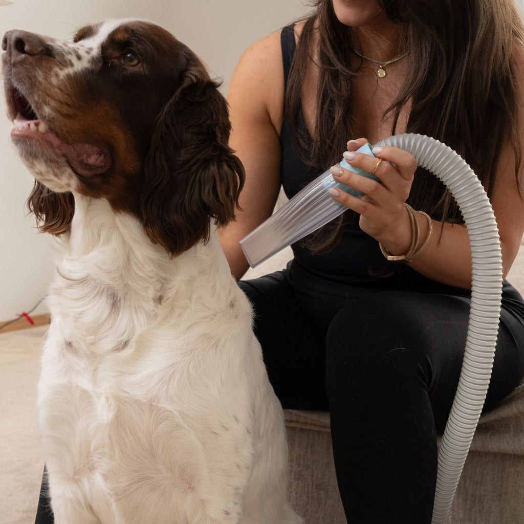Seven-in-One Pet Grooming Vacuum Kit product image 17