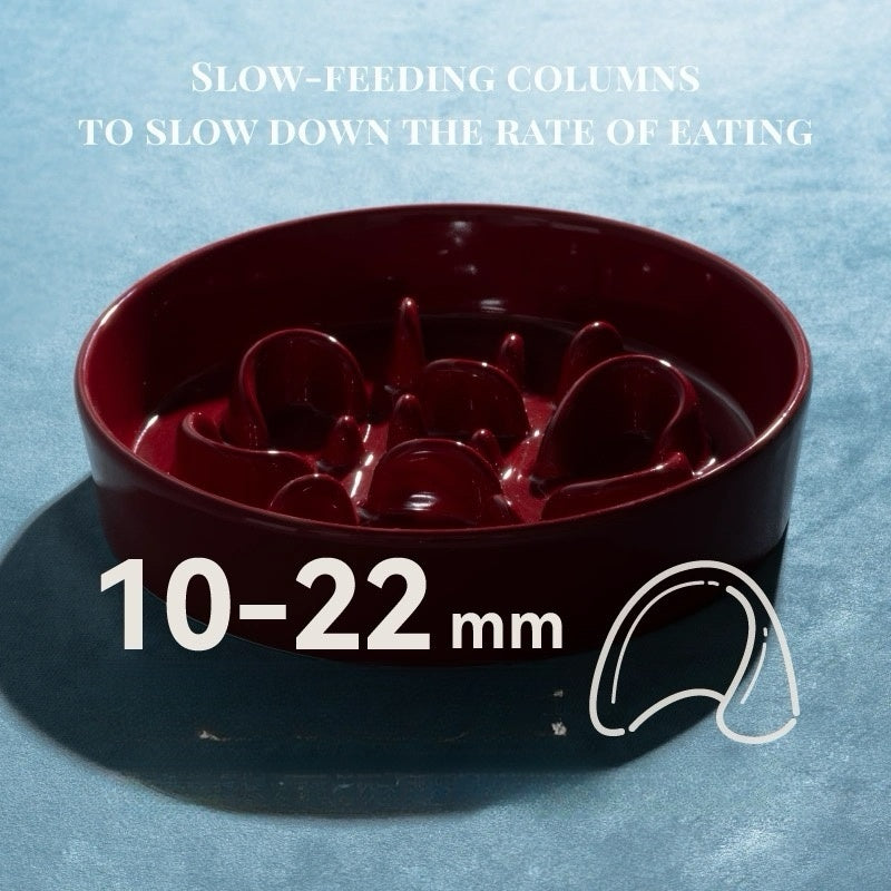 Slow Feeder Bowl product image 2