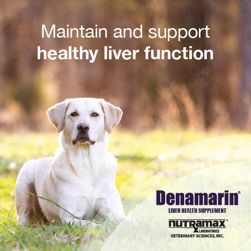 Dog Liver Supplement product image 6
