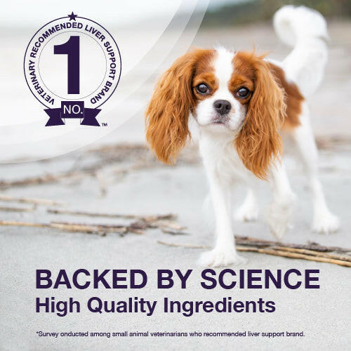 Dog Liver Supplement product image 7