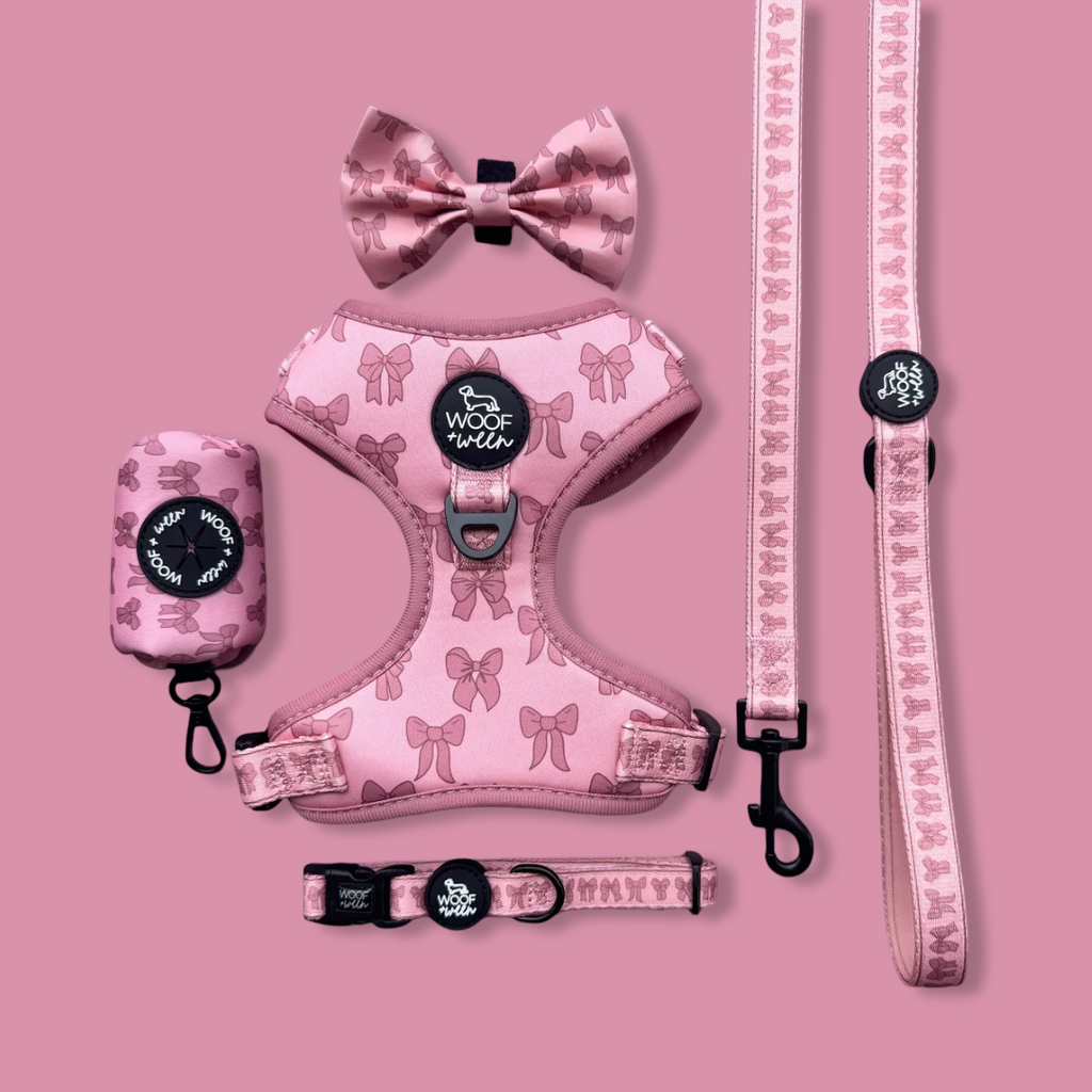 Dog Leash product image 2