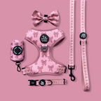 Dog Leash product image 2