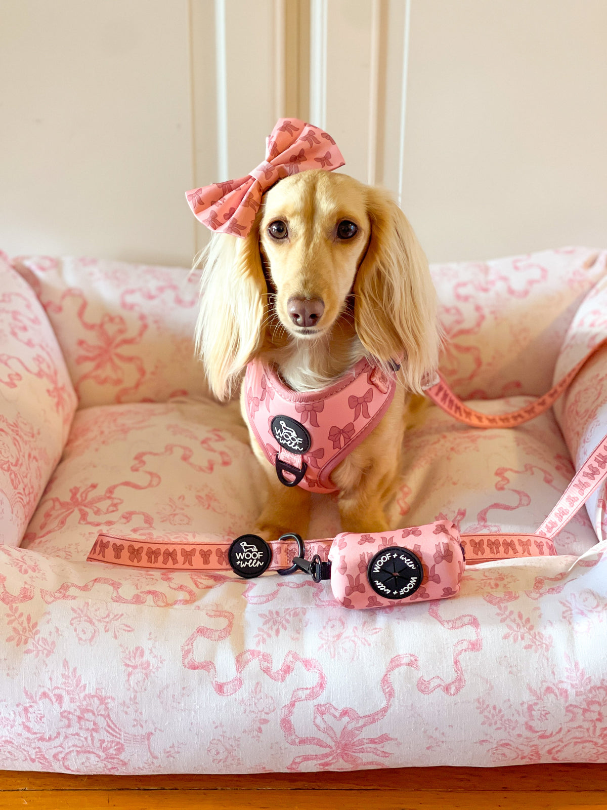 Dog Leash product image 3
