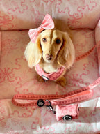 Dog Leash product image 4