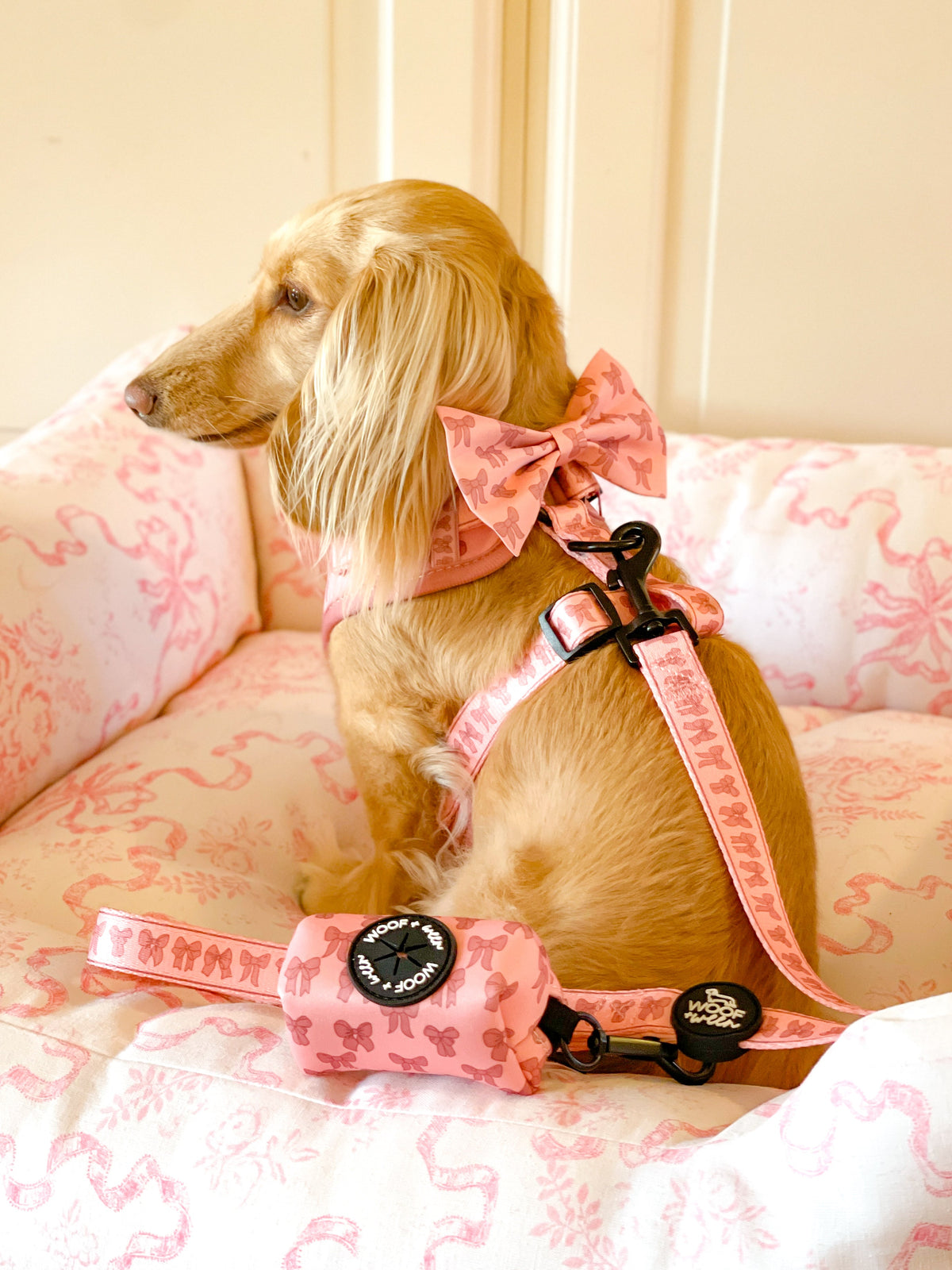 Dog Leash product image 5