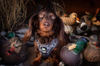 Adjustable Dog Harness - DUCK CAMO