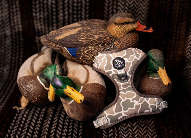 Adjustable Dog Harness - DUCK CAMO
