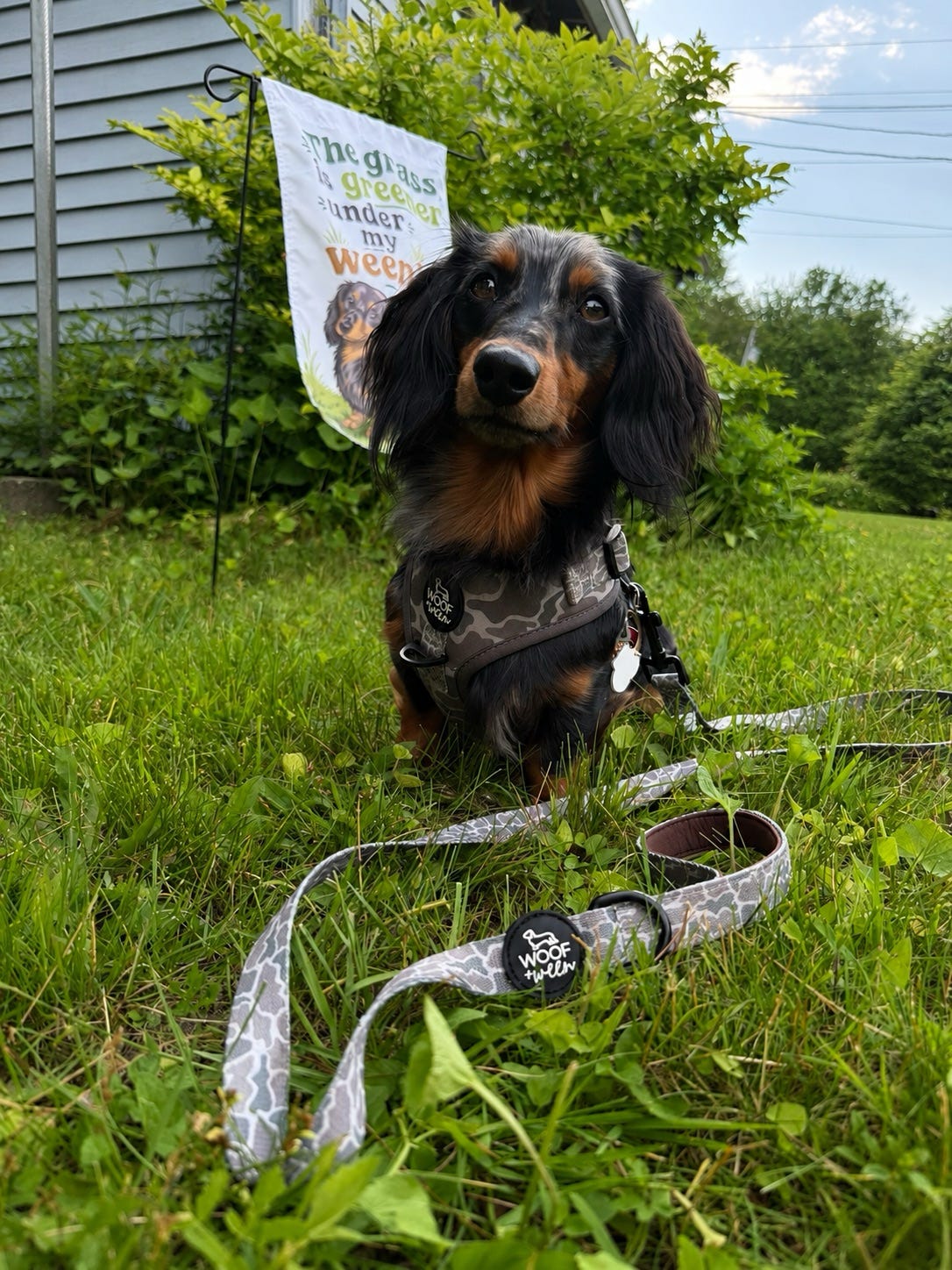 Adjustable Dog Harness - DUCK CAMO