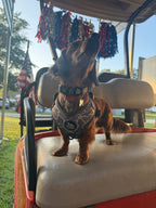 Adjustable Dog Harness - DUCK CAMO