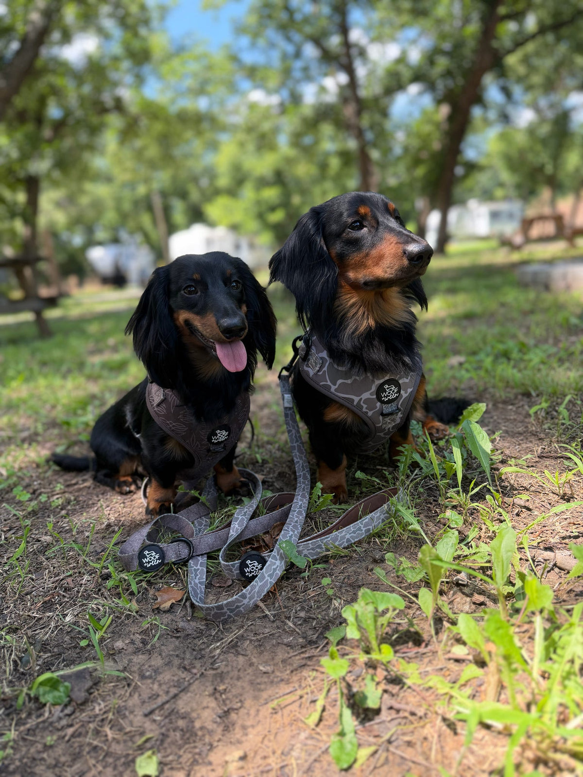 Adjustable Dog Harness - DUCK CAMO